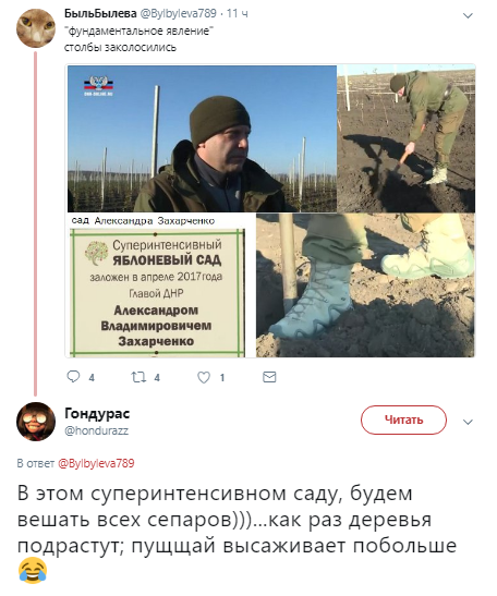 "Столбы заколосились": в сети подняли на смех "садовода" Захарченко