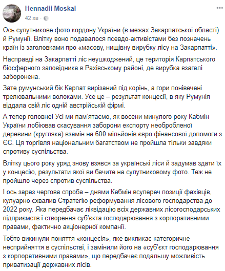 Вырубка леса в Украине: Москаль заявил о "продаже" Карпат