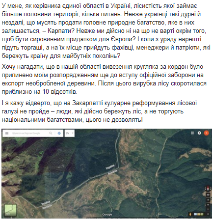 Вырубка леса в Украине: Москаль заявил о "продаже" Карпат