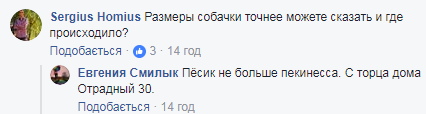 "Это действительно страшно": сеть всполошила история об избиении девочки подростками в Киеве