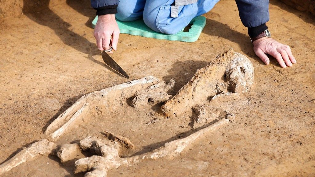 В Германии раскопали могилу ведьмы: находка шокирует 