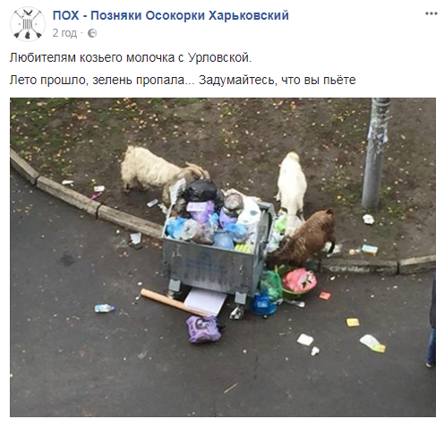 "Эта обезбашенная": скандал с козами в спальном районе Киева получил продолжение
