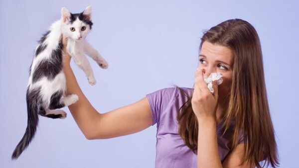 Як дізнатися, на що алергія: лайфхак