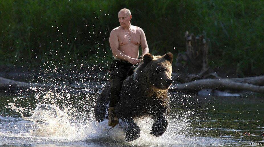 Путин на медведе (снимок отфотошоплен)