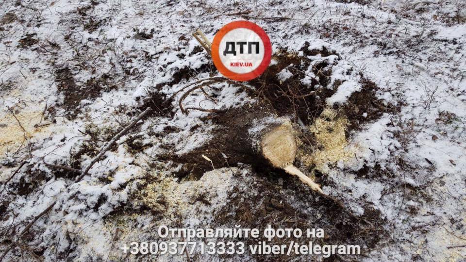 Снес четыре дерева и влетел в забор: в Киеве произошло серьезное ДТП
