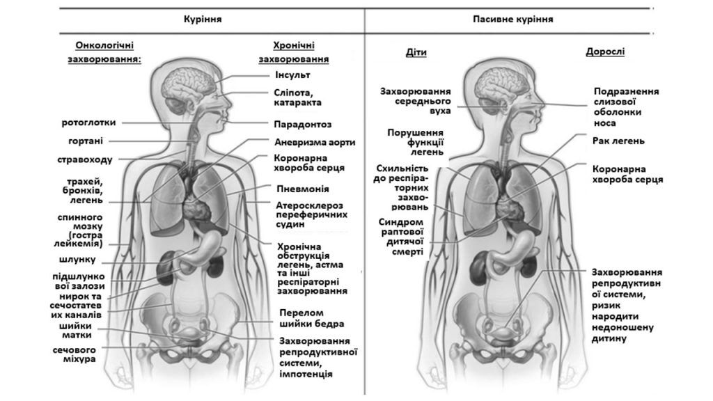 http://stopsmoking.org.ua/wp-content/uploads/2017/02/2.2.2.-Smoling-damage-1024x576.jpg