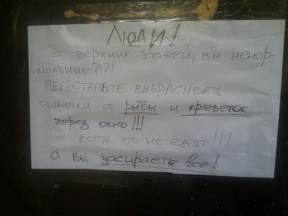 Борщ, простирадла і пилосмоки: киян розлютили кричущі вчинки сусідів