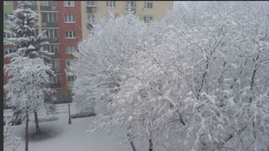 Словаччина потрапила в сніговий полон: оголошено режим НС