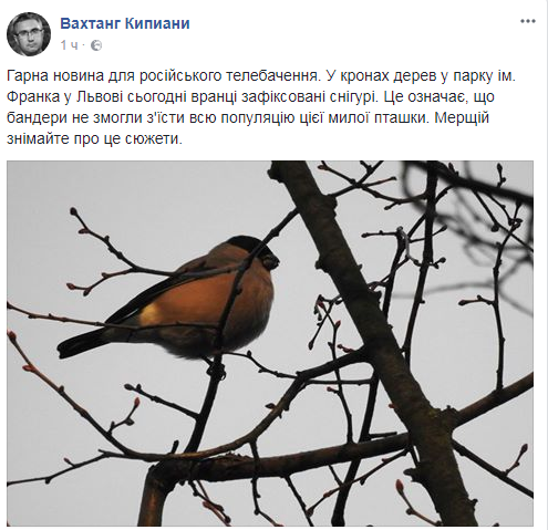 "Б*ндери не всіх з'їли": журналіст висміяв топ-фейк КремльТВ про Україну