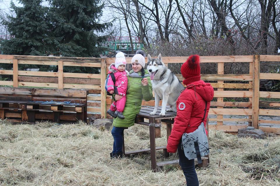 "Ледниковый период" в центре столицы: в Киеве открылся масштабный зимний фестиваль