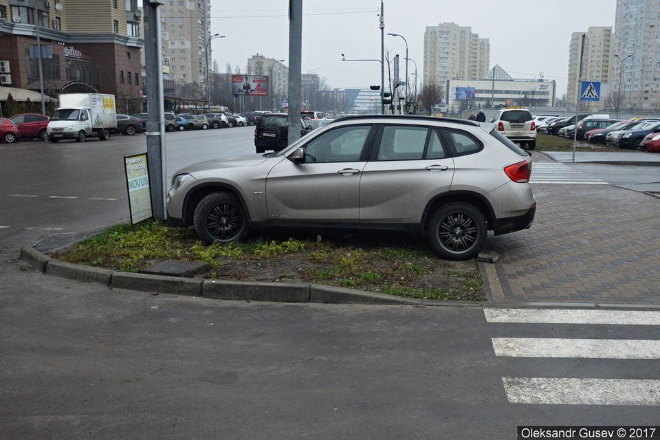 "Підвид твердолобих": мережу підірвав герой парковки в Києві