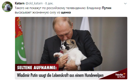 "Він їх сам народжує?" Путін- "собаківник" вивів із себе росіян