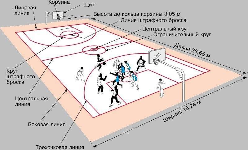 Единственный в мире: как возник вид спорта, который начинался с ведер из-под персиков