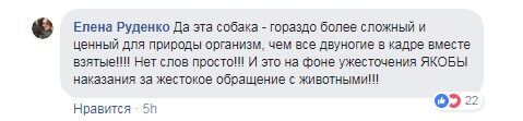 Зачем собаку мучили? Живодерский эксперимент министра Путина разгневал сеть