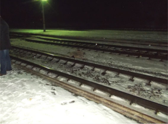 Сім'я потрапила під поїзд: на Рівненщині сталася страшна трагедія