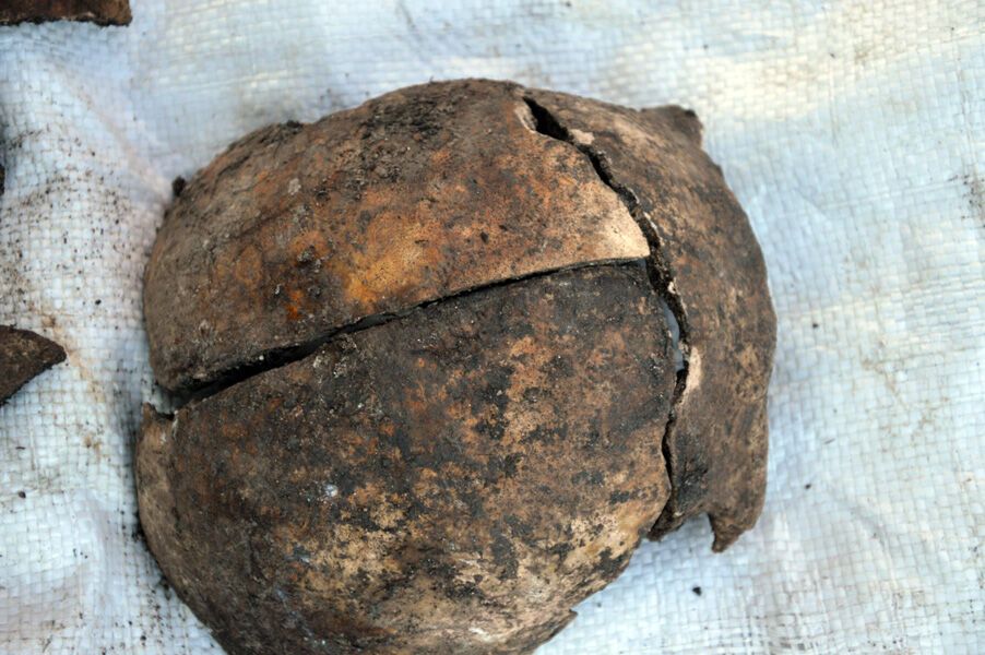 Черепи розбиті навпіл: під Вінницею знайшли моторошне масове поховання