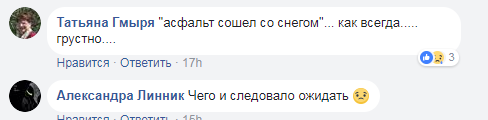 "Асфальт сошел со снегом": сеть возмутил случай на дороге в Киеве