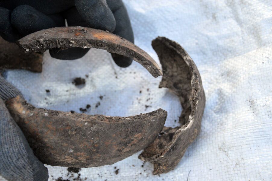 Черепи розбиті навпіл: під Вінницею знайшли моторошне масове поховання