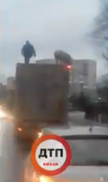 Бойкот новогоднему столу? Под Киевом свинья на крыше авто взбудоражила жителей