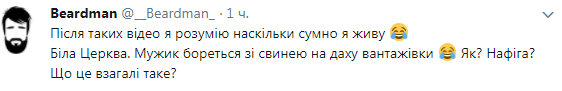 Бойкот новорічному столу? Під Києвом свиня на даху авто вразила жителів