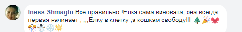 "Отдайте кисям!" В сети придумали интересный новогодний лайфхак