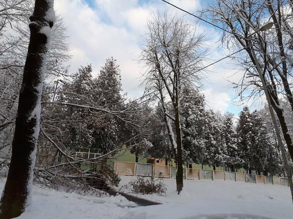 Сніговий апокаліпсис в Україні: фото і відео наслідків