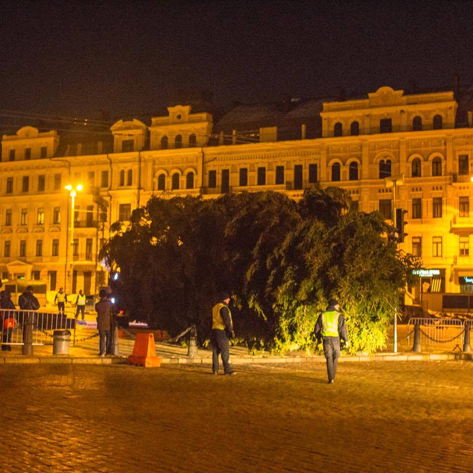 У Києві почали встановлювати головну новорічну ялинку країни: з'явилися фото