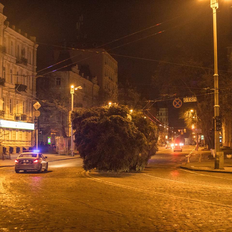 В Киеве начали устанавливать главную новогоднюю елку страны: появились фото
