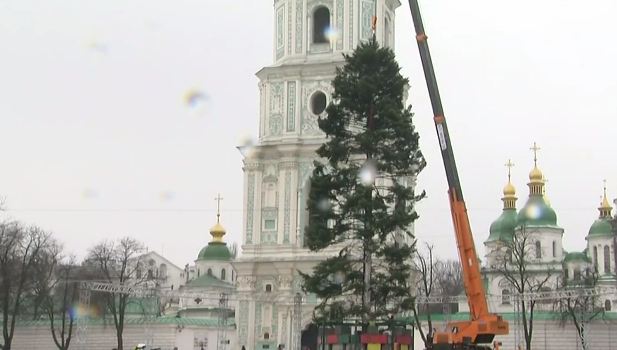 "Зовнішній вигляд не дуже": в Києві встановили головну ялинку країни