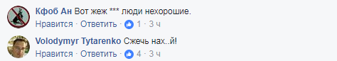 "Жлобы на колесах": сеть разгневали герои парковки на газоне в Киеве 