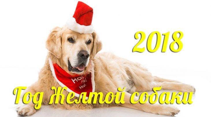 Новый год-2018: поздравления, смс и открытки к празднику
