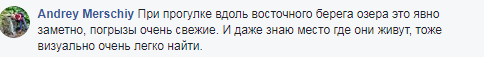 Гризуть все! Жителі Києва забили тривогу через банду бобрів