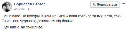 "Піду вип'ю заспокійливе": головна ялинка України розбурхала мережу