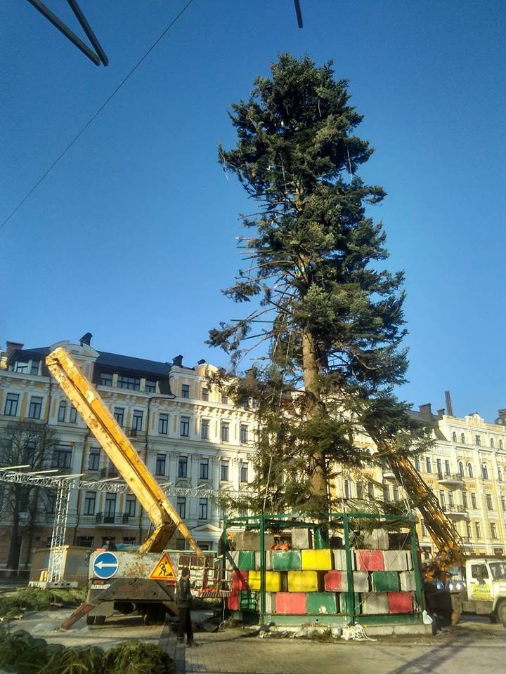 "Піду вип'ю заспокійливе": головна ялинка України розбурхала мережу