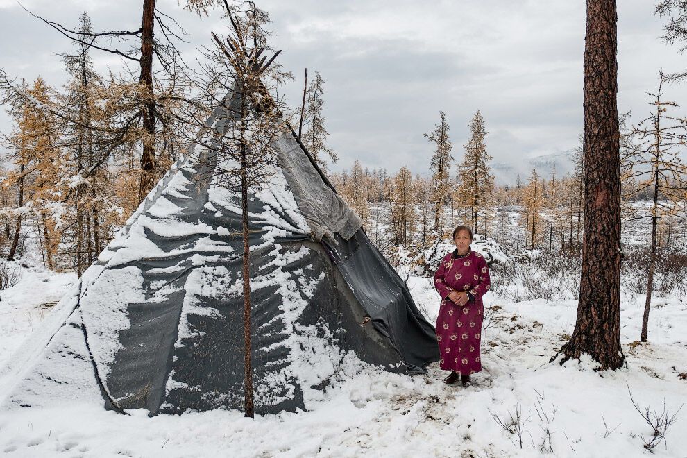 Как живет семья оленеводов высоко в горах Монголии: удивительные фото