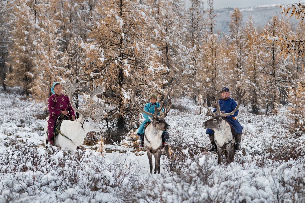 Как живет семья оленеводов высоко в горах Монголии: удивительные фото