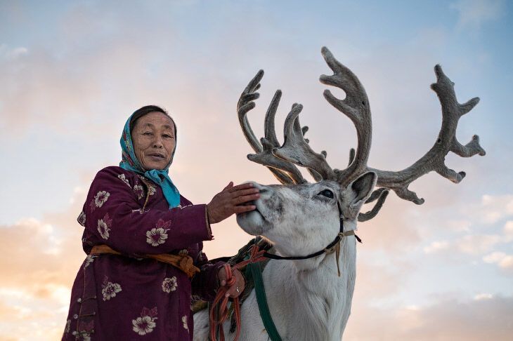Как живет семья оленеводов высоко в горах Монголии: удивительные фото