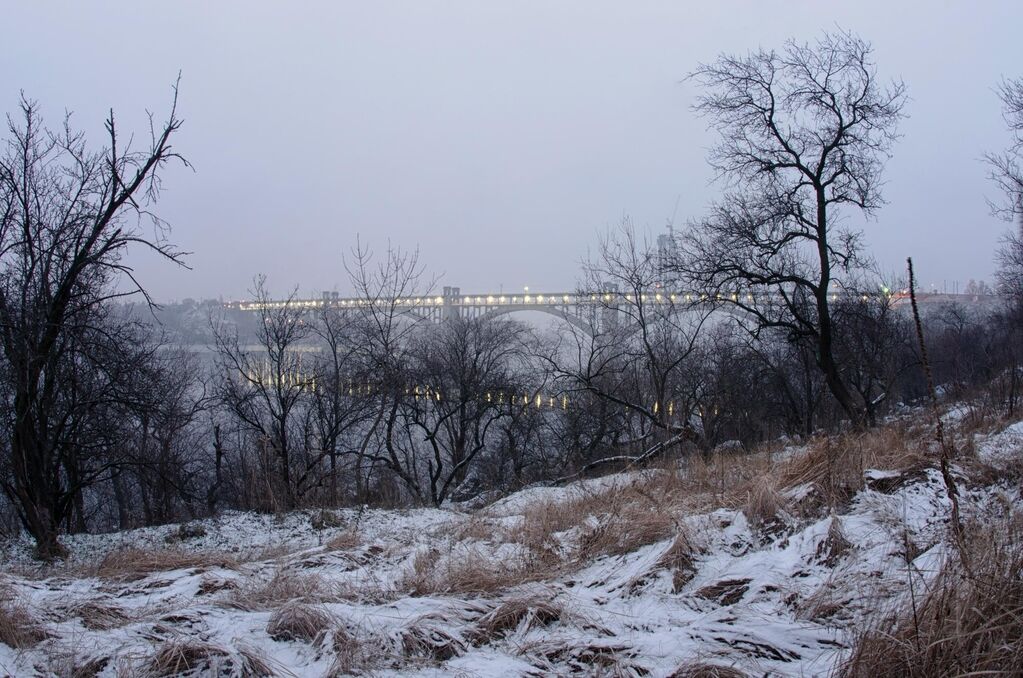 Запорожский фотограф показал красоты Хортицы, скованной морозом (ФОТО)