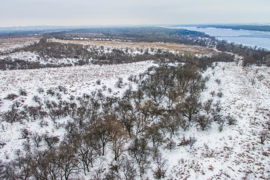 Запорожский фотограф показал красоты Хортицы, скованной морозом (ФОТО)
