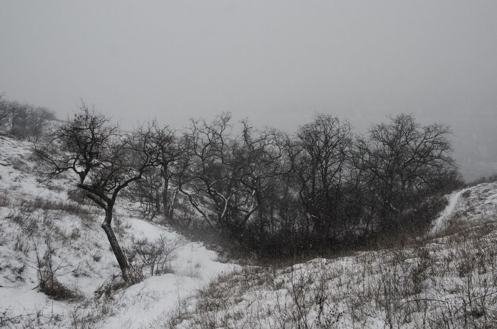 Запорожский фотограф показал красоты Хортицы, скованной морозом (ФОТО)