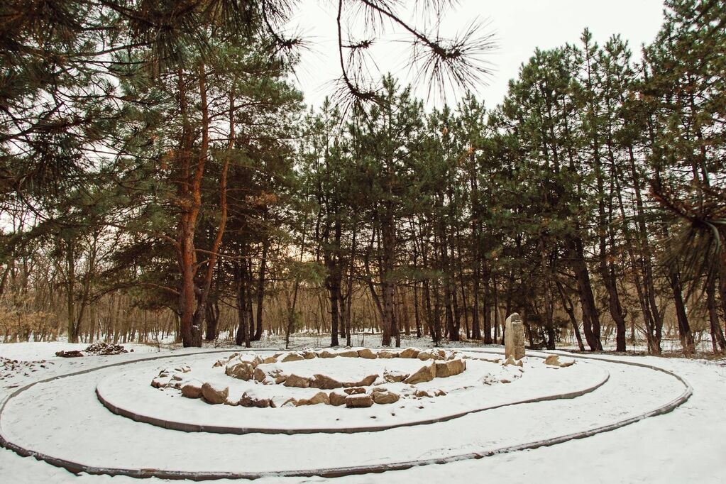 Запорожский фотограф показал красоты Хортицы, скованной морозом (ФОТО)