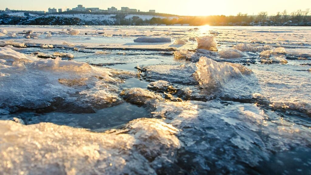 Запорожский фотограф показал красоты Хортицы, скованной морозом (ФОТО)