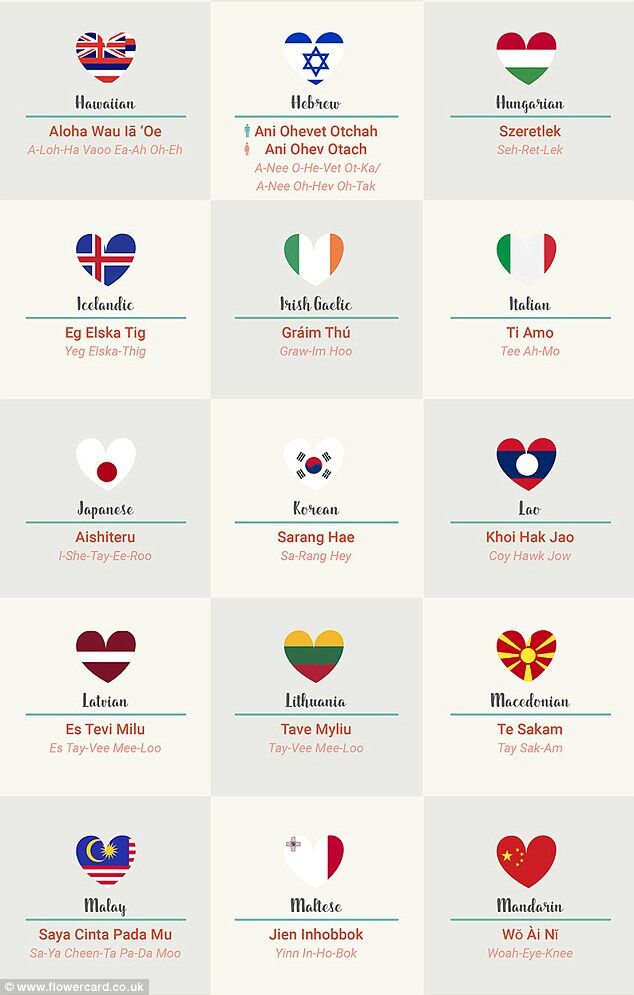 День св. Валентина: как сказать "я тебя люблю" на 50 языках мира