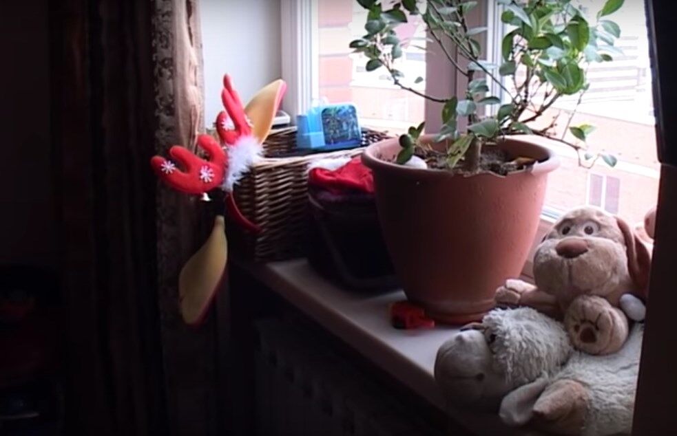 Трагедия в Киеве: появилось видео из квартиры женщины-самоубийцы