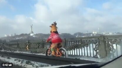Соцсети позабавило видео с "оленем"-велосипедистом посреди затора в Киеве