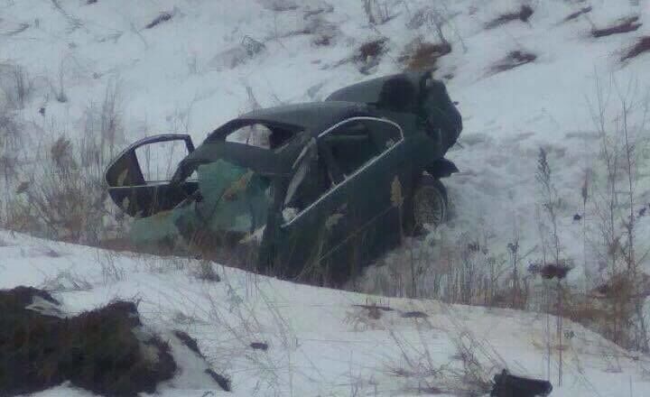 Под Киевом перевернулся BMW: погибли собаки водителя