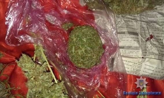 В квартире у запорожца нашли 10 килограмм наркотиков и плантацию конопли (ФОТО)