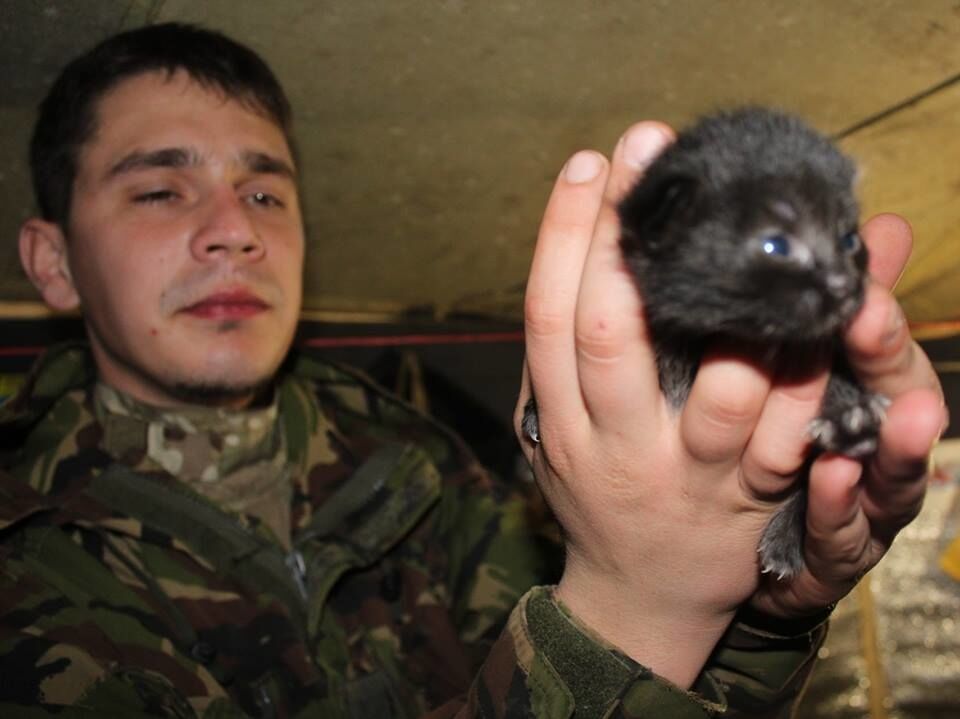 День кота в зоні АТО: воїни показали своїх улюблених вихованців