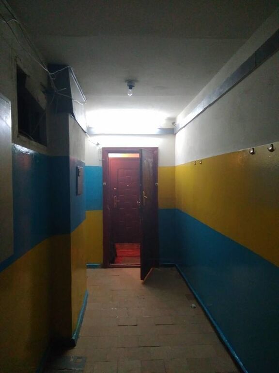 "Назло вате": киевский волонтер показал новые фото патриотического ремонта