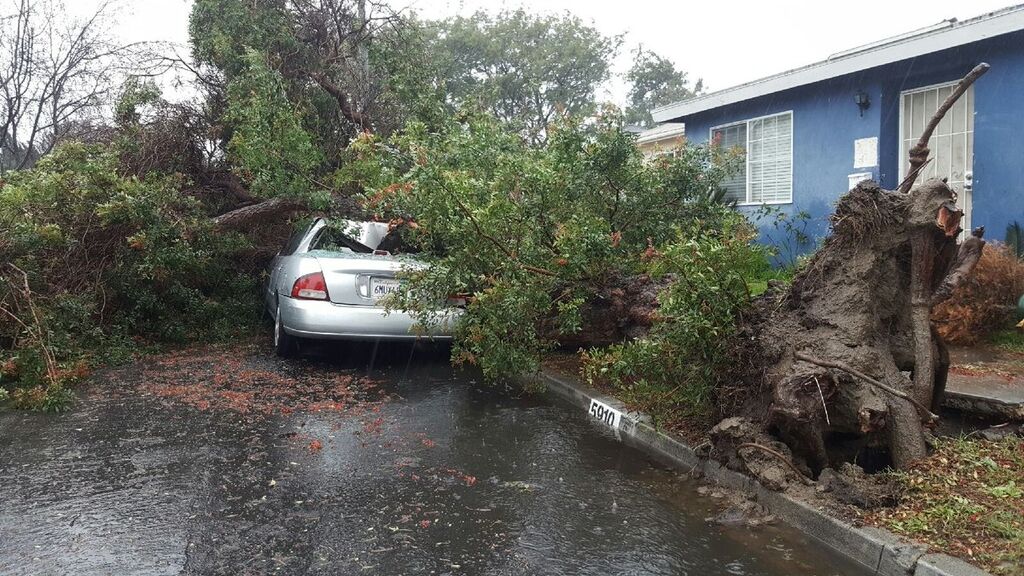 На Калифорнию обрушился смертельный ураган: опубликованы фото и видео 
